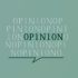 opinion opinion